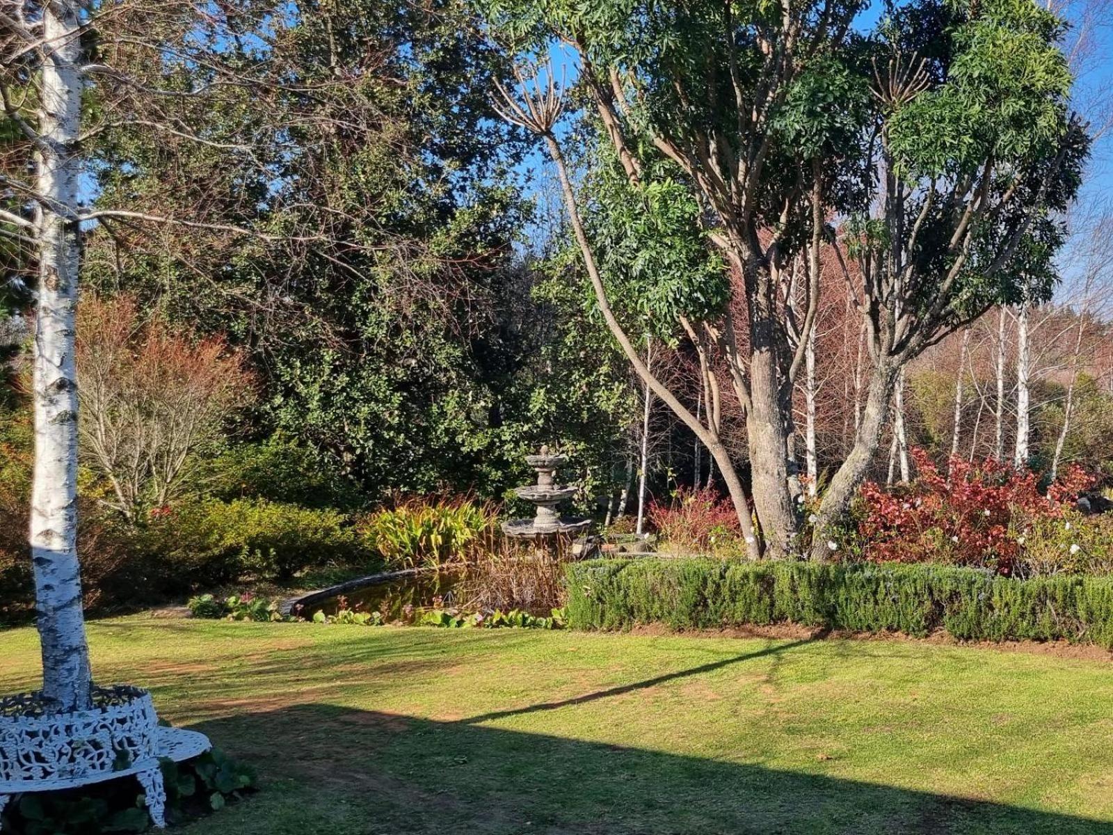 הוילה הוחסבק The Edge Mountain Retreat מראה חיצוני תמונה